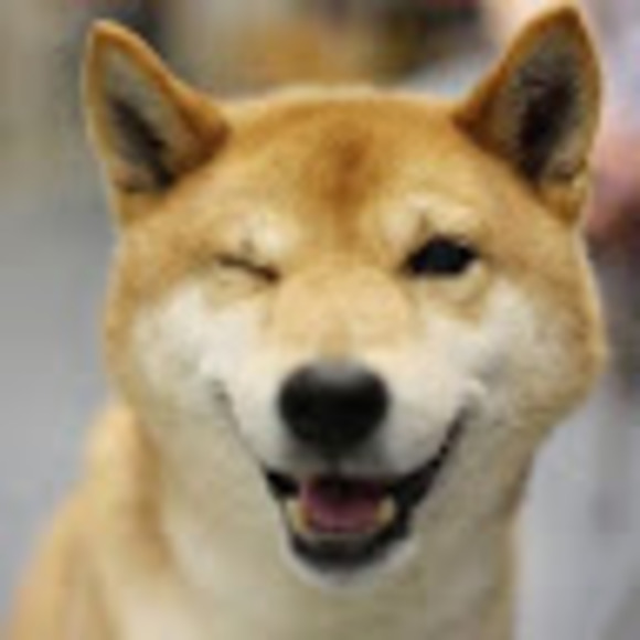 Meet your Posher, Deanna - Picture 1 of 1